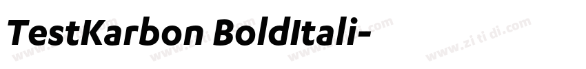 TestKarbon BoldItali字体转换 TestKarbon BoldItali字体转换